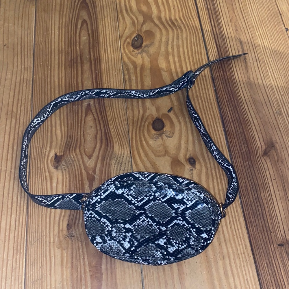 Fanny pack